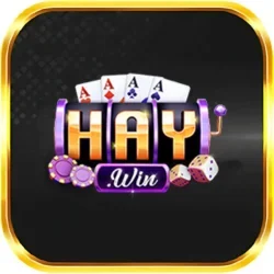 HAYWIN