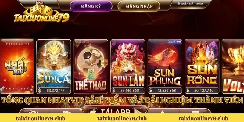 Tổng quan Nhatvip sản phẩm và trải nghiệm thành viên